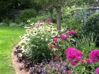 Home Care Agencies In Norwalk Ct